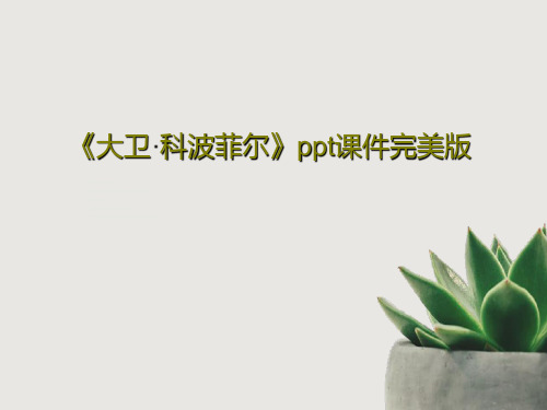 《大卫·科波菲尔》ppt课件完美版PPT文档29页