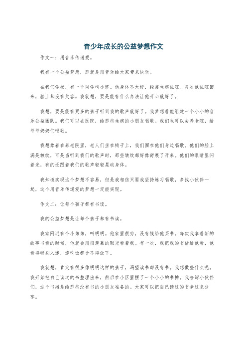 青少年成长的公益梦想作文