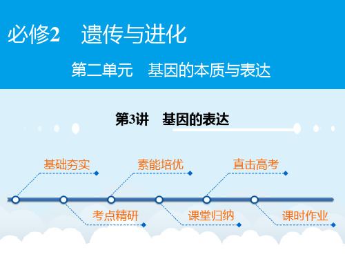 高考生物大一轮复习 第2单元 基因的本质与表达 第3讲 基因的表达课件(必修2)