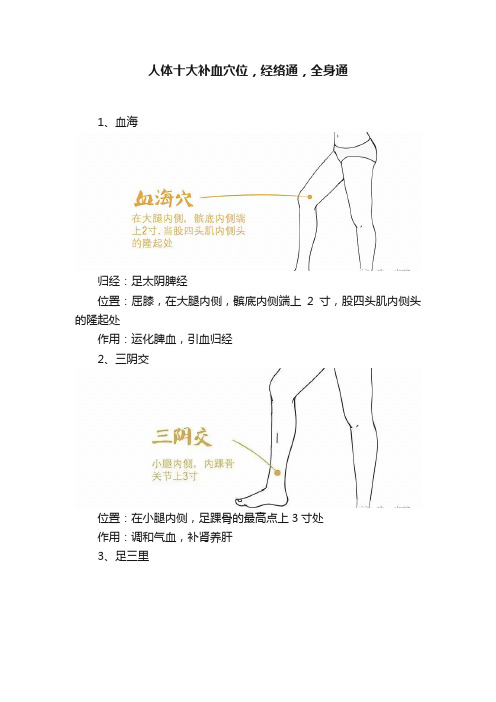 人体十大补血穴位，经络通，全身通