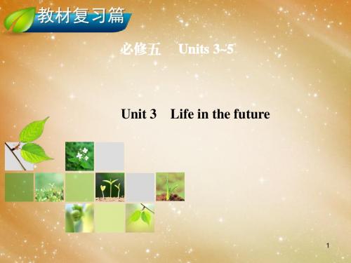 高考英语总复习 Unit 3 Life in the future课件 新人教版必修5