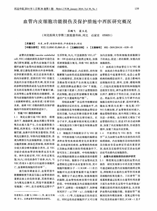 血管内皮细胞功能损伤及保护措施中西医研究概况