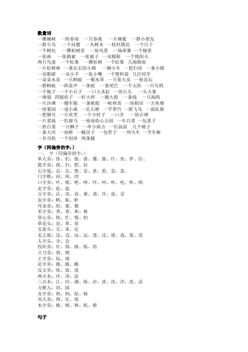 数量词、同音字