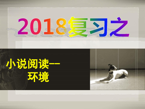 2018届高考语文-小说环境复习