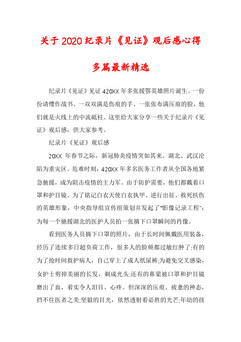 关于2020纪录片《见证》观后感心得多篇最新精选