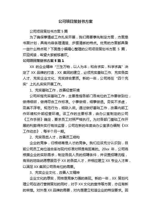 公司项目策划书方案5篇