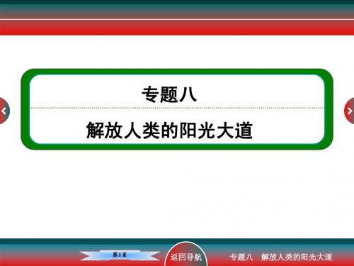 高考历史政治文明史解放人类的阳光大道