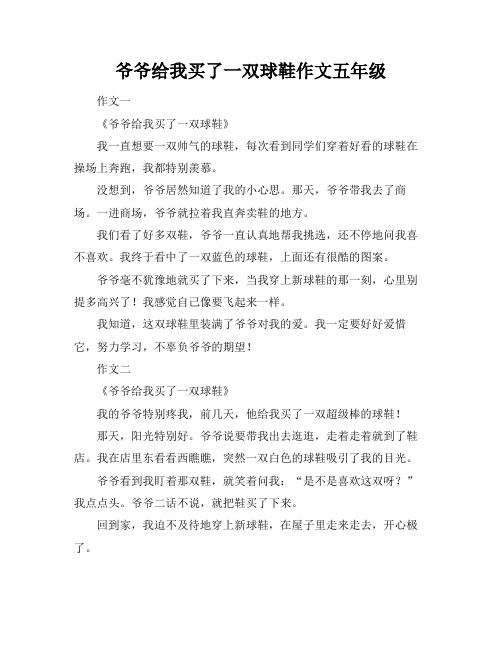 爷爷给我买了一双球鞋作文五年级