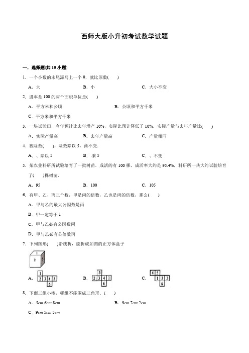 西师大版数学小升初测试题含答案