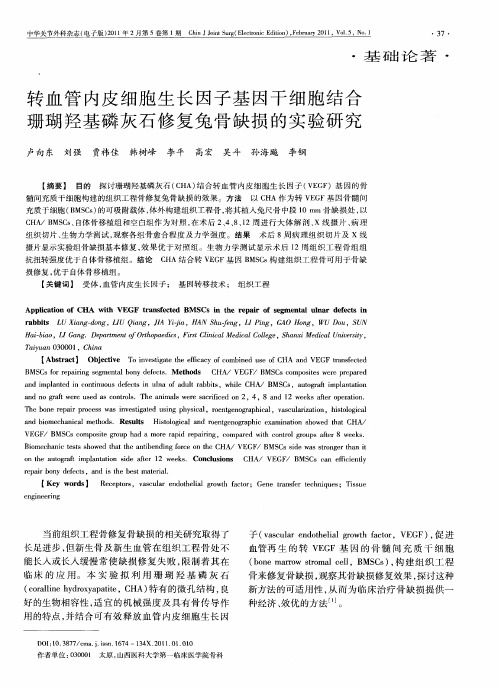 转血管内皮细胞生长因子基因干细胞结合珊瑚羟基磷灰石修复兔骨缺损的实验研究