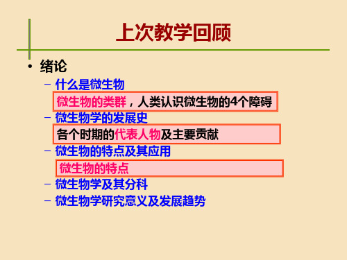 第一章 原核生物的形态构造1PPT课件