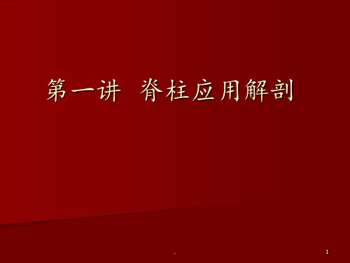 脊柱应用解剖PPT课件