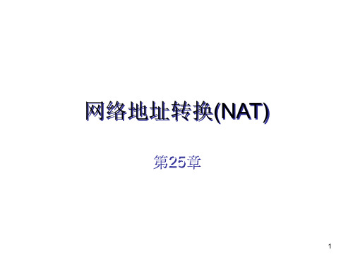 网络地址转换(NATPPT