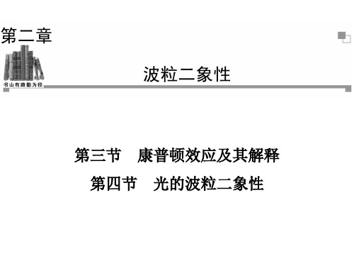 《光的波粒二象性》课件2