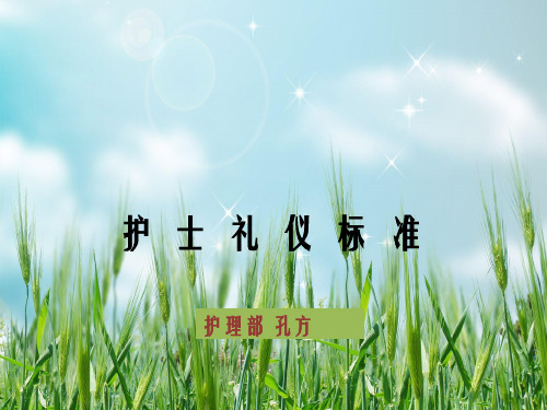 《护士礼仪规范》PPT幻灯片PPT