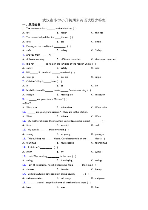 武汉市小学小升初期末英语试题含答案