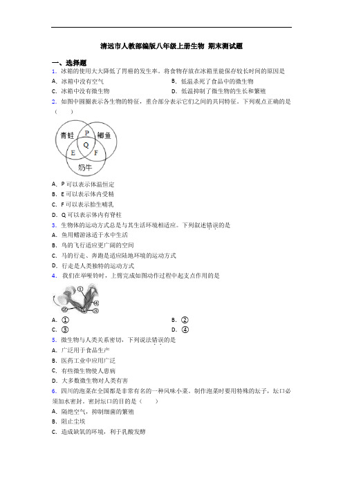 清远市人教部编版八年级上册生物 期末测试题