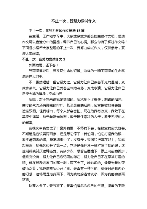 不止一次，我努力尝试作文精选15篇