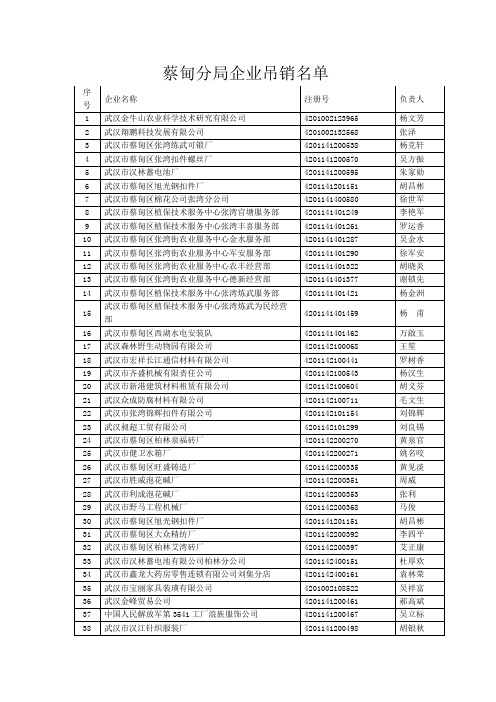 蔡甸分局企业吊销名单