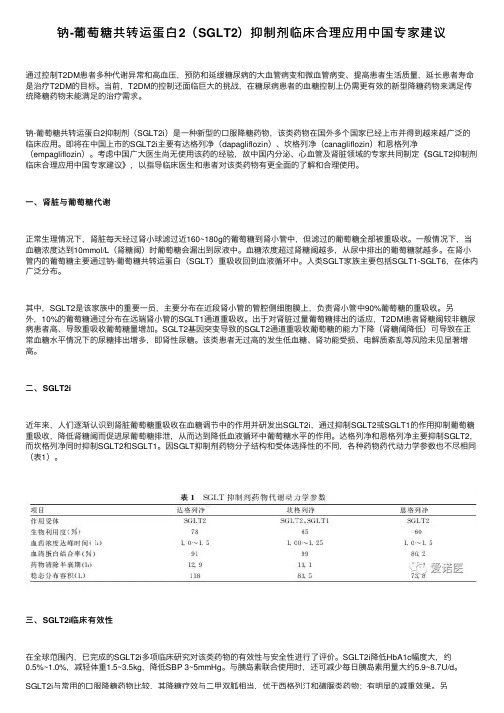 钠-葡萄糖共转运蛋白2（SGLT2）抑制剂临床合理应用中国专家建议