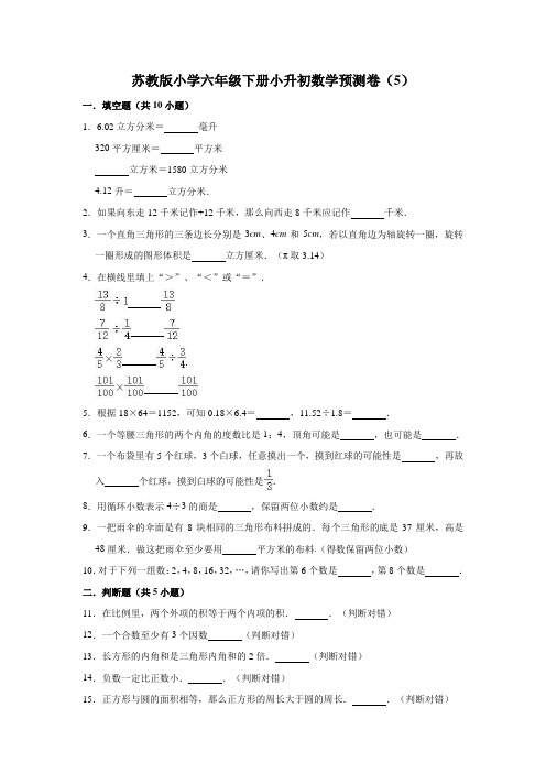 苏教版小学六年级下册小升初数学模拟试题(5)(解析版)