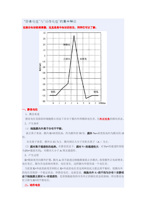 “静息电位”与“动作电位”的高中解读