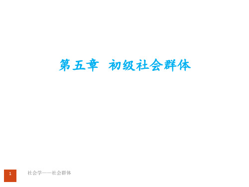 社会学——社会群体 ppt课件