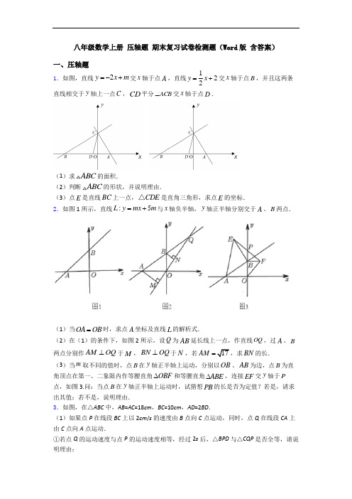 八年级数学上册 压轴题 期末复习试卷检测题(Word版 含答案)