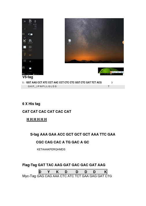 各种标签Tag的核苷酸与氨基酸序列