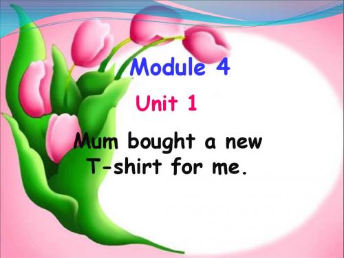 2014秋外研版(三起)五上Module_4《Unit_1_Mum_bought_a_new_T-shirt_for_me》ppt课件1