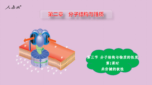 共价键的极性-高二化学课件(人教版2019选择性必修2)