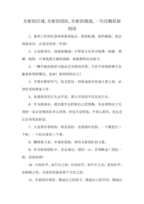 全新的区域,全新的团队,全新的挑战,一句话概括新到岗