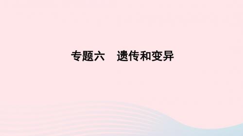 山东省潍坊市2019年中考生物专题复习六遗传与变异课件济南版