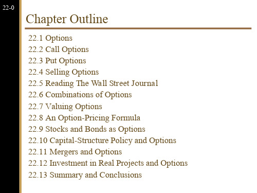 第二十二章 期权与公司理财：基本概念
