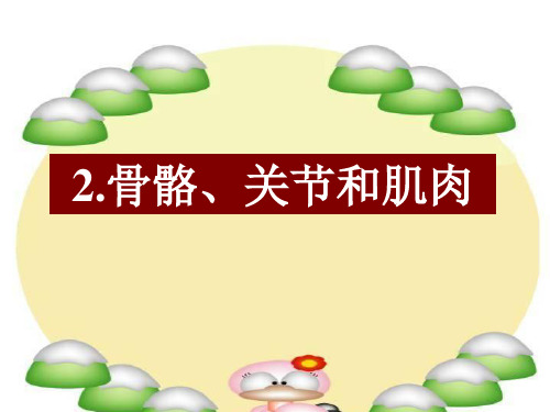 部编版四年级上册科学课件-骨骼、关节和肌肉 教科版ppt上课用