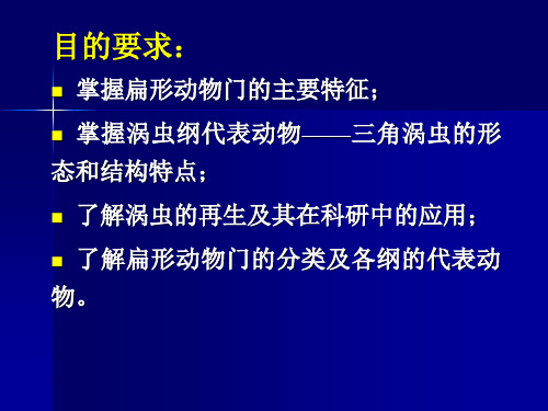 第六章  扁形动物门_PPT幻灯片