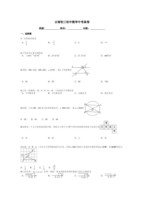 云南初三初中数学中考真卷带答案解析
