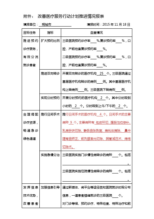 改善医疗服务行动计划推进情况报表