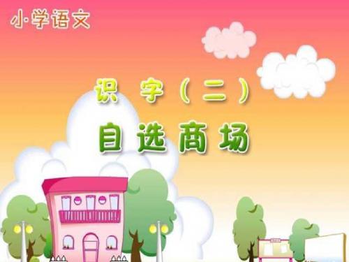 《自选商场》ppt课件.ppt