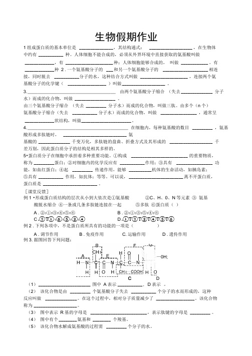 高一生物蛋白质练习题