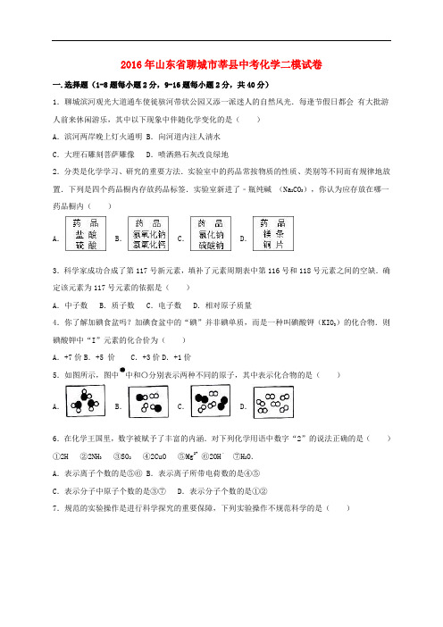 山东省聊城市莘县中考化学二模试题(含解析)