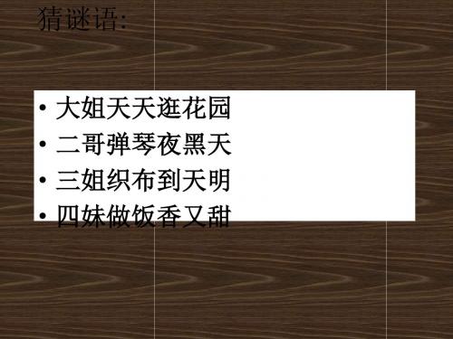 绿色蝈蝈课件1(15页)(人教新课标七年级上册)