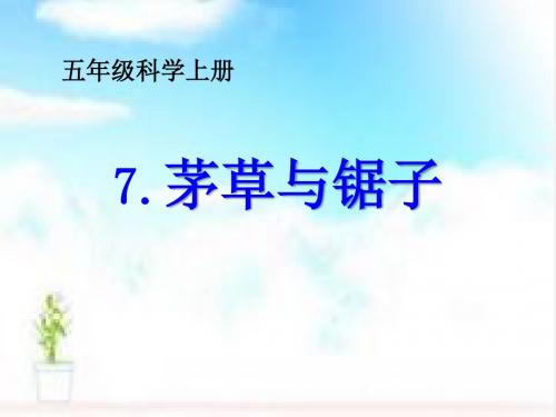 鄂教版科学五年级上册第7课《茅草与锯子》ppt课件