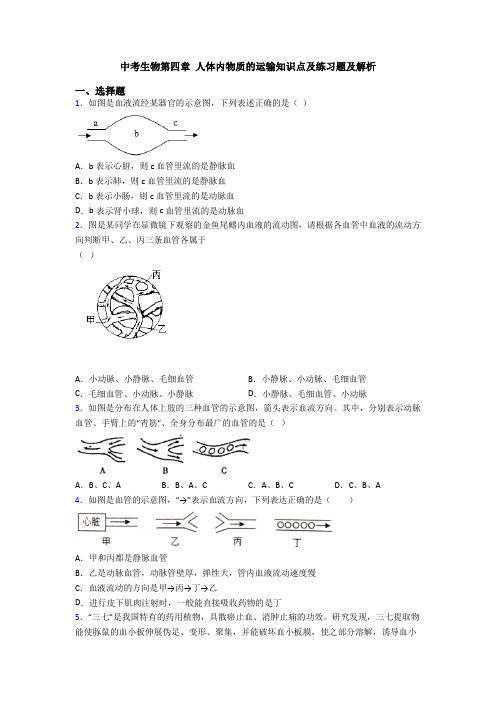 中考生物第四章 人体内物质的运输知识点及练习题及解析