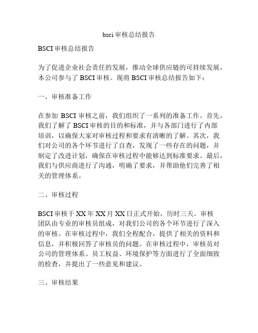 bsci审核总结报告