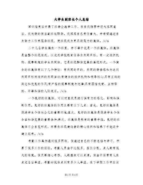 大学生副班长个人总结（2篇）