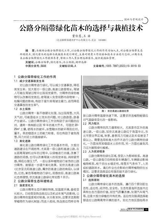 公路分隔带绿化苗木的选择与栽植技术