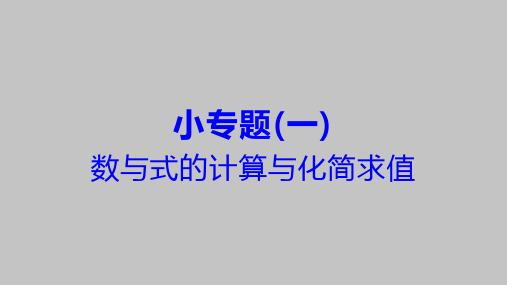 2021人教版中考数学小专题(一)数与式的计算与化简求值