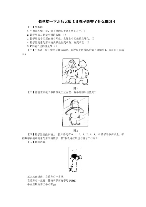 数学初一下北师大版7.5镜子改变了什么练习4