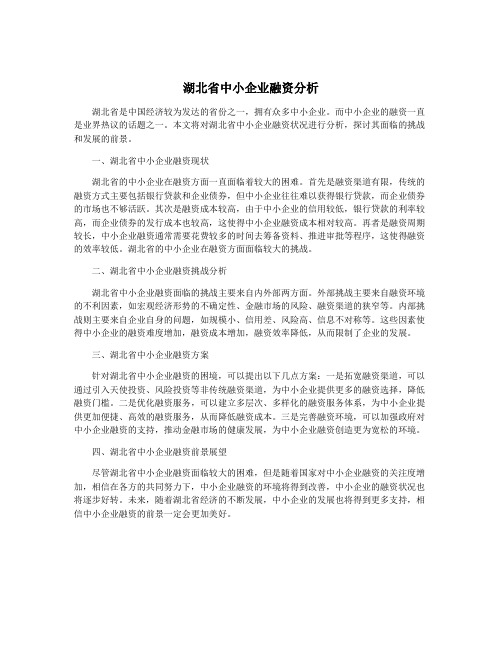 湖北省中小企业融资分析